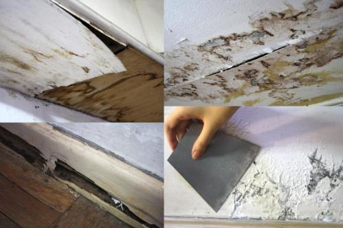 water damage termite infestation chipping paint