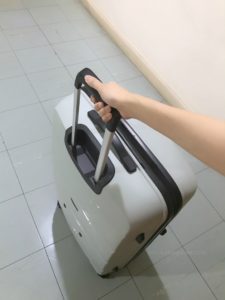 luggage travel moving overseas