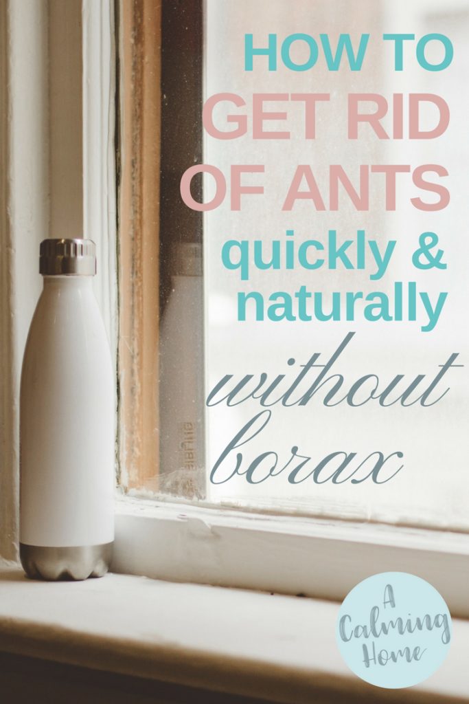 get rid of ants quickly naturally without borax